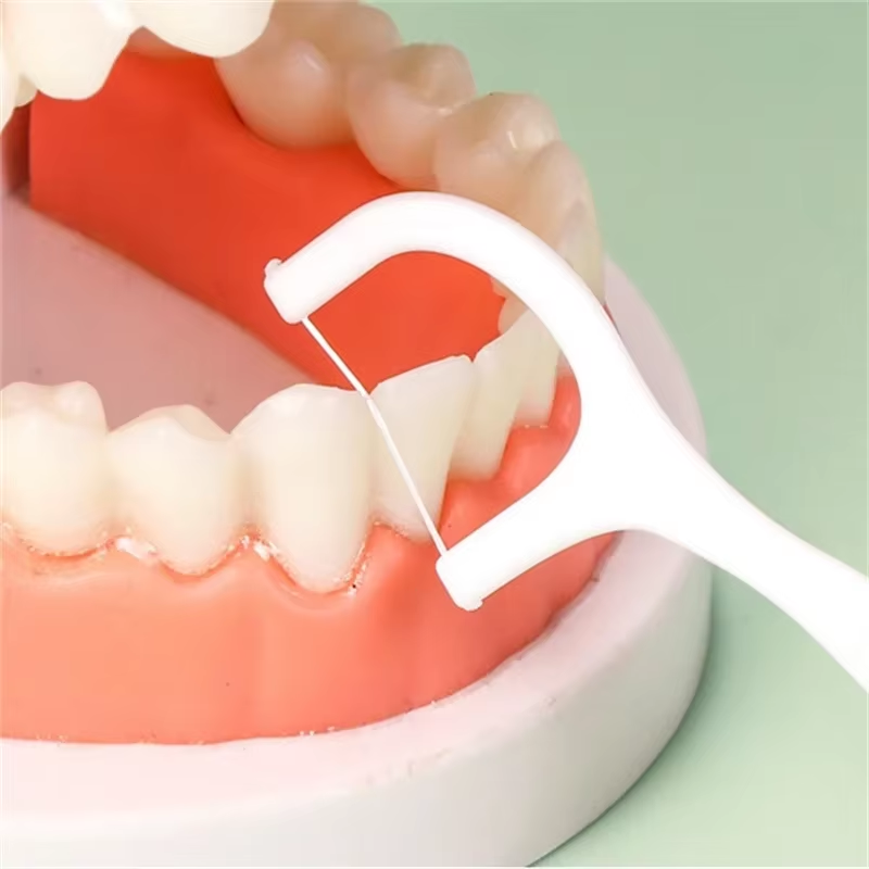 1/2/5/10 Scatole Portatili Mon - Dental Floss Picks recensione e prezzo